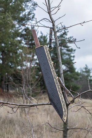 Viking Seax Knife with Engraved Stainless Steel Blade, Rosewood Handle, and Brass Guard