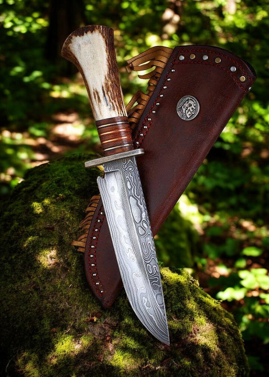 Classic bowie knife Damascus steel 8 inch blade with antler horn rosewood handle