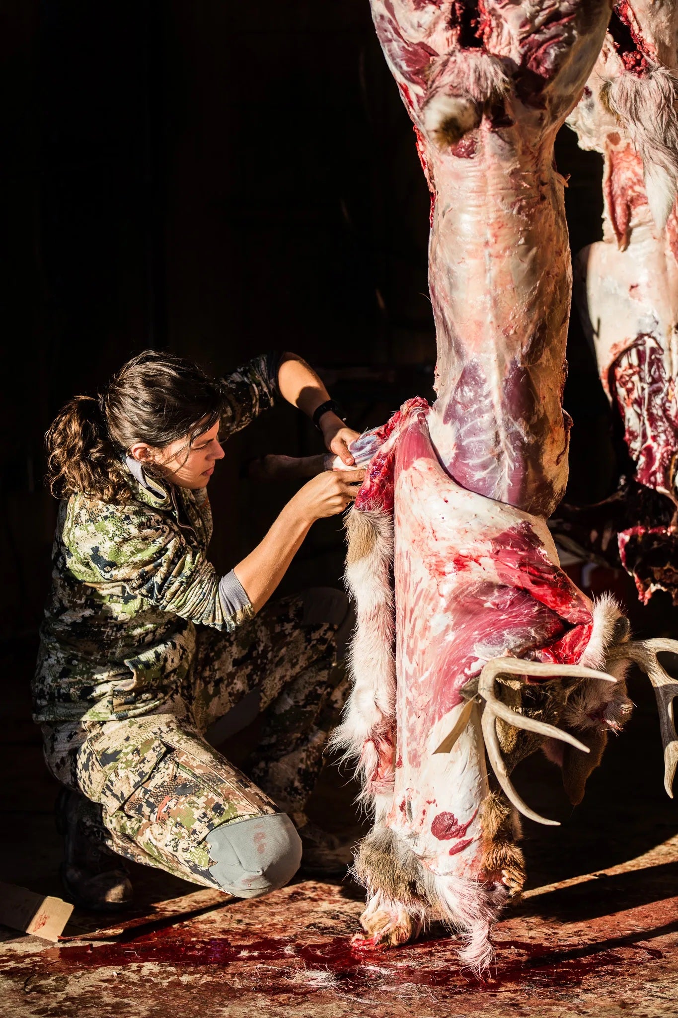 Field Dressing Made Easy with a Sharp Hunting Knife