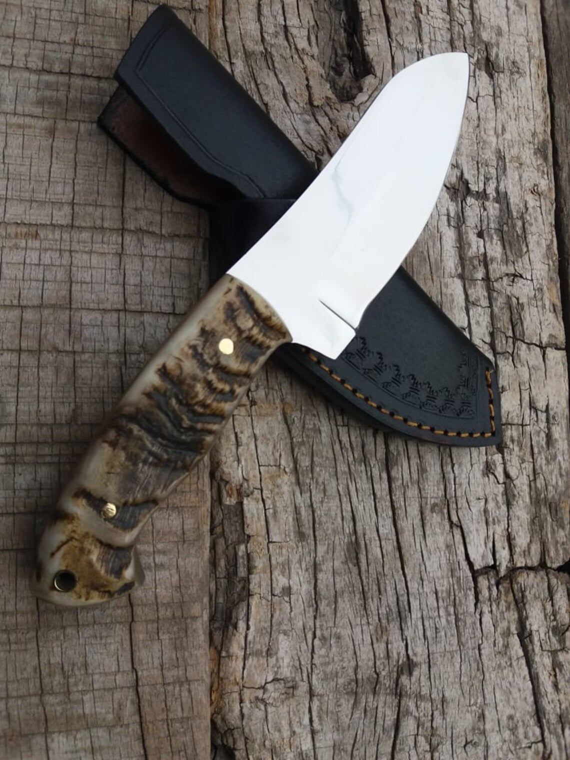 D2 steel hunting knife with 8.5-inch blade and mountain sheep horn handle
