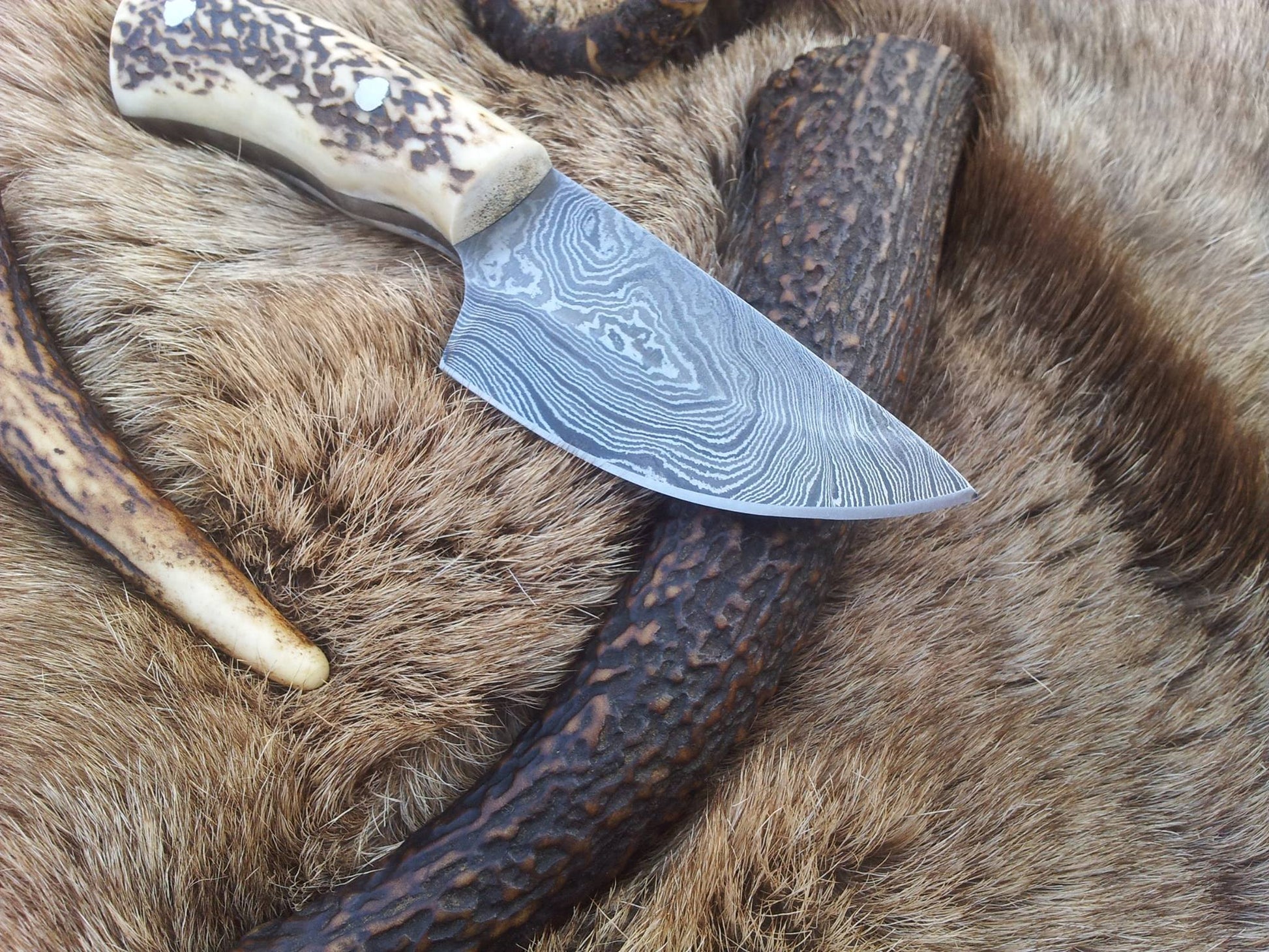 Drop point blade design on a Damascus steel skinning knife with leather sheath.
