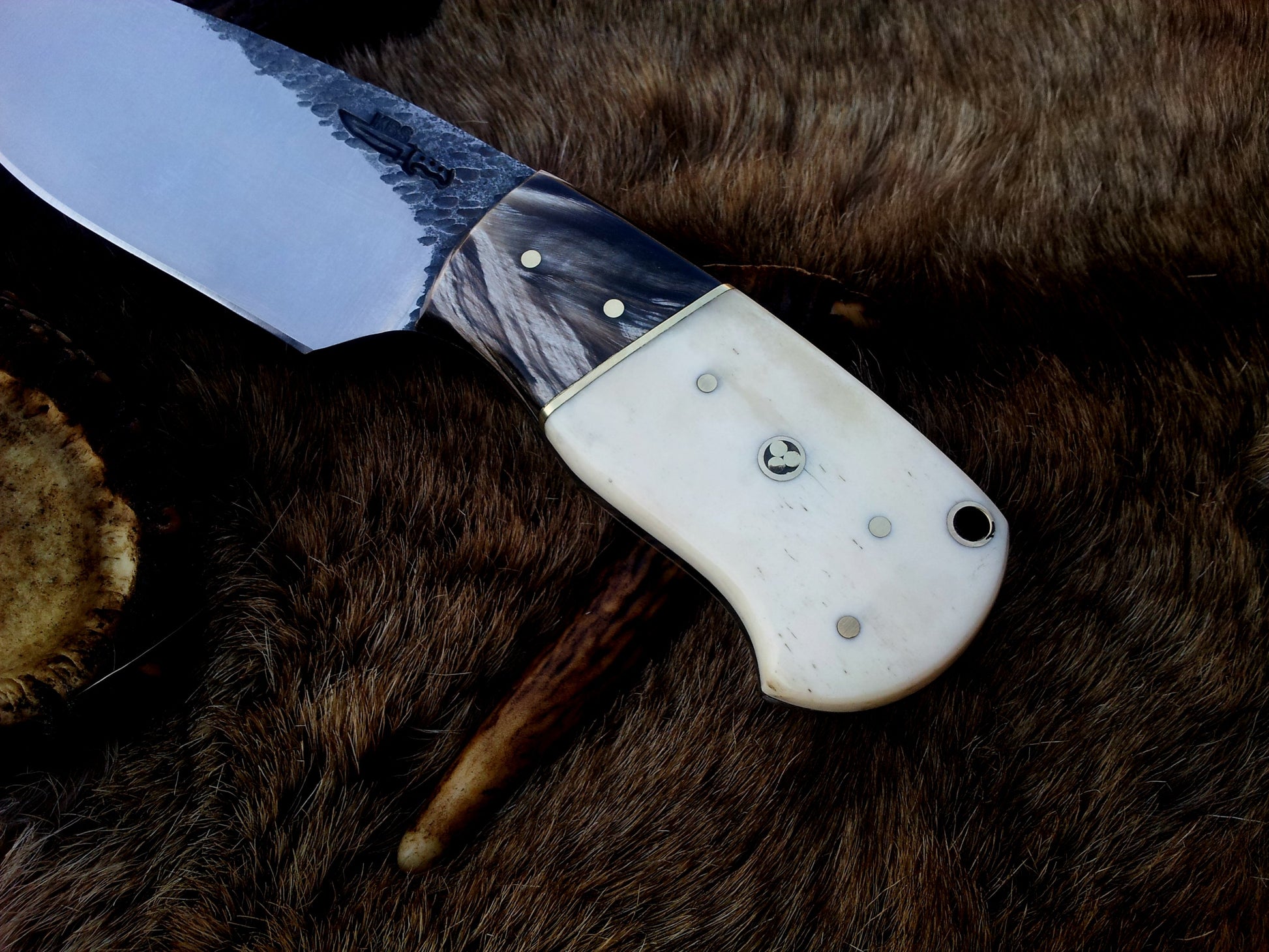 Buffalo horn and camel bone handle with brass spacers on a custom skinning knife.