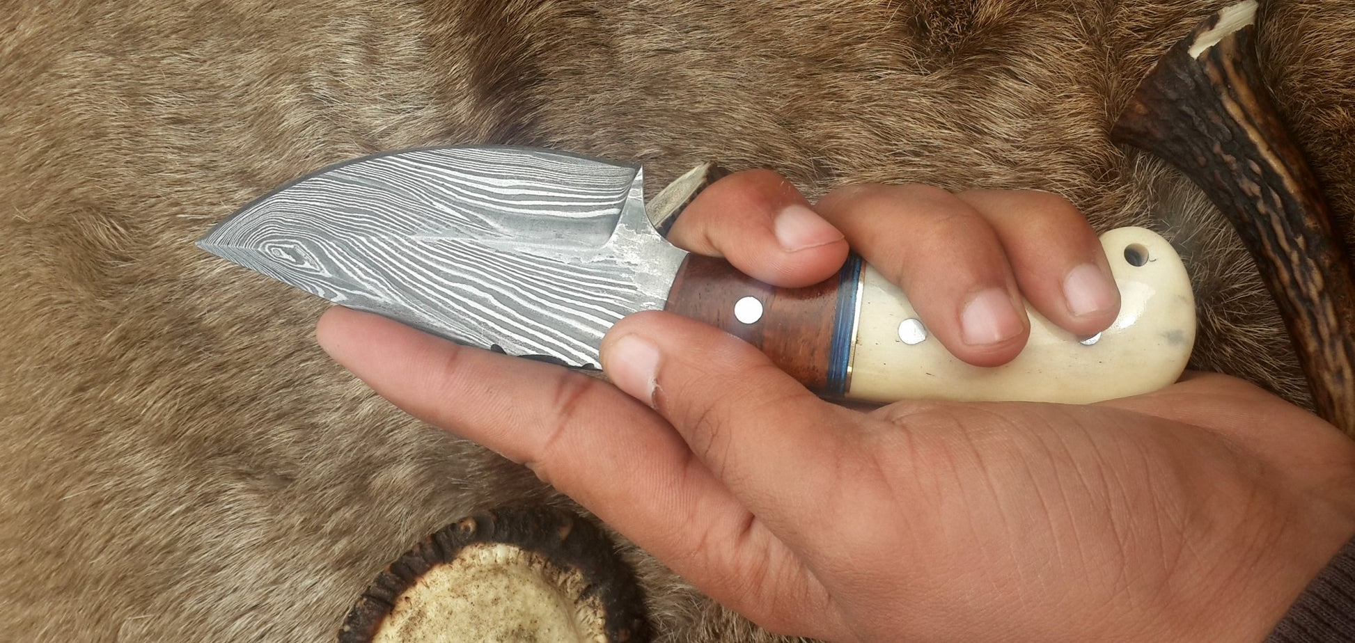 Full view of the 7-inch field dressing knife highlighting its elegant craftsmanship.