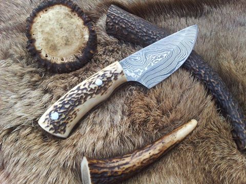 Custom 7-inch Damascus steel field dressing deer skinning knife with antler horn handle.