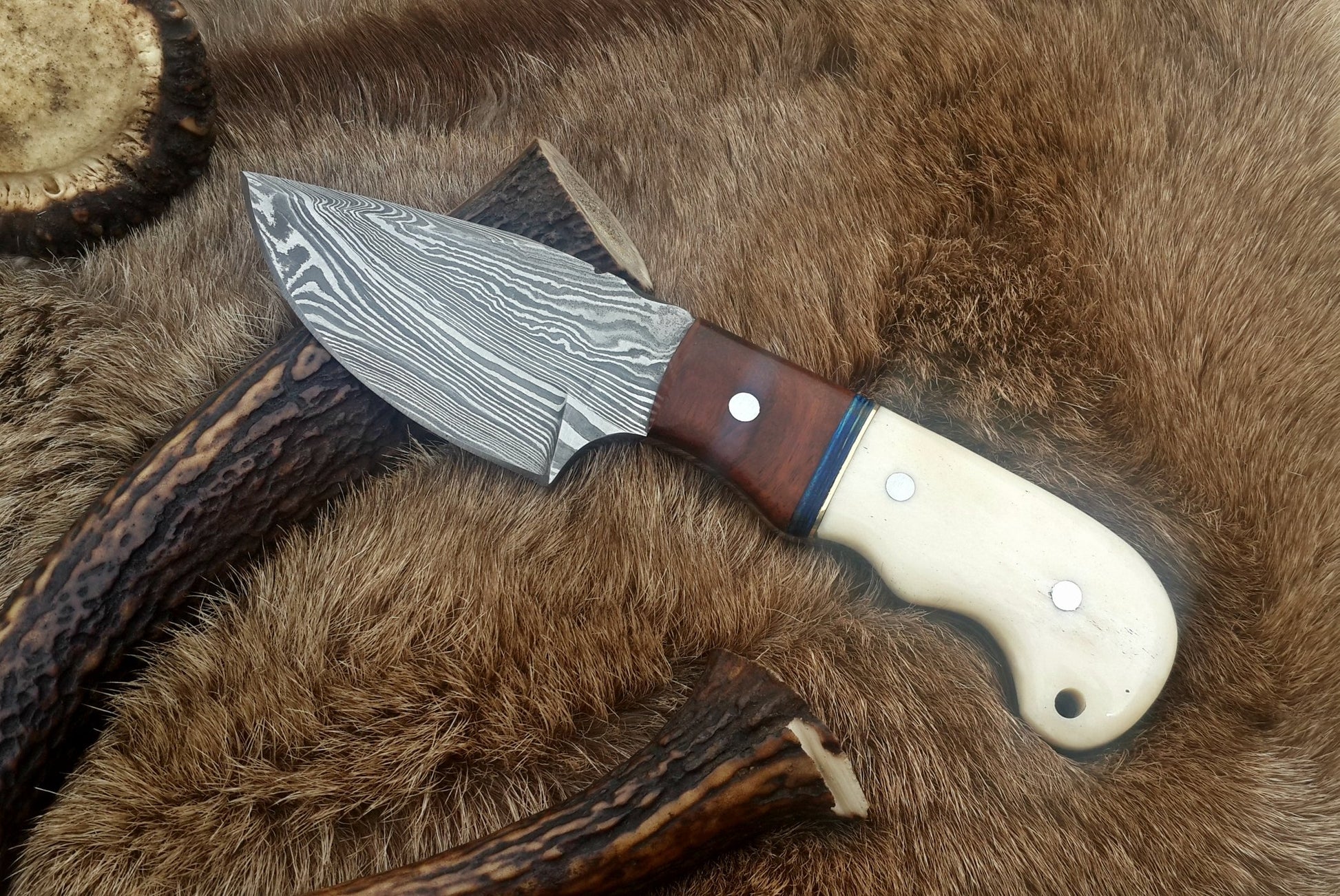 Damascus steel drop point skinning knife featuring a bone and rosewood handle with a 3-inch blade.