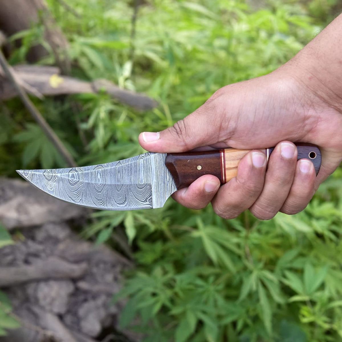Damascus Skinning Knife With Rose Wood and Olive Wood Handle KBS
