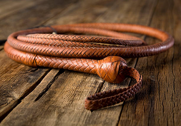 Premium Handmade Bull Whip & Leather Bullwhips for Sale