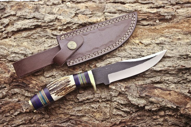 Custom 1095 forged steel hunting knife with antler horn and exotic wood handle
