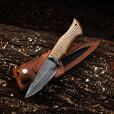 bear hunting knives	