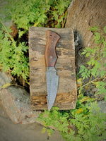 The Hunter's Favorite - A 10-inch hunting knife featuring a Damascus Steel Blade, Rosewood handle adorned with a Damascus Guard, complete with a leather sheath, available at KBS Knives Store for outdoor enthusiasts and hunters.