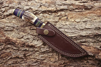 Custom hunting knife with antler horn, exotic wood, and brass guard handle
