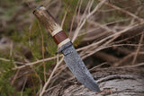 Custom Handmade Damascus Steel Hunting Knife with Rosewood, Stag Horn, Bone and Damascus Guard Handle