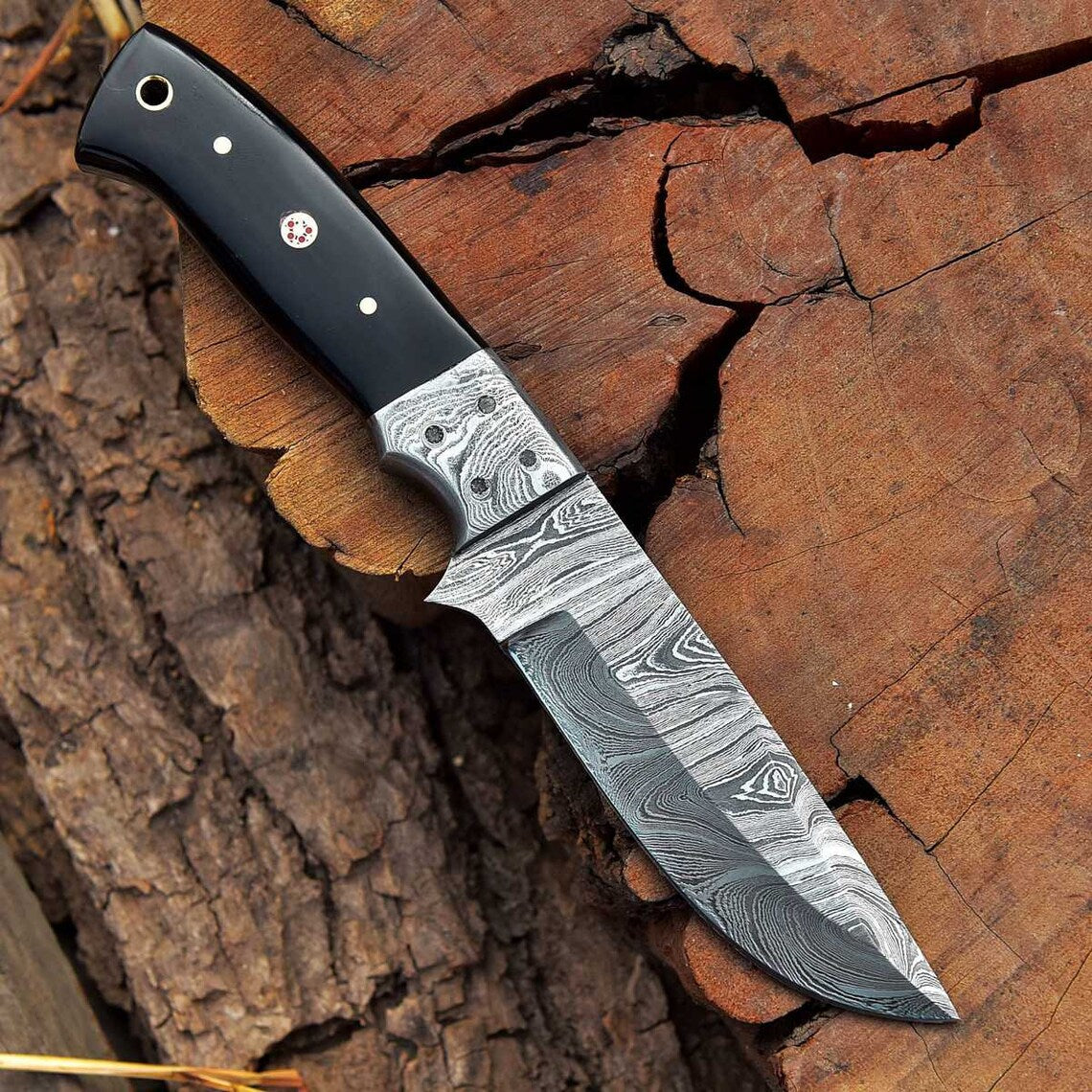 Damascus Steel Hunting Knife with Buffalo Horn Handle and Damascus Bolster - Ridgeback Ranger by KBS Knives