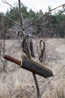 Viking Seax Knife with Engraved Stainless Steel Blade, Rosewood Handle, and Brass Guard
