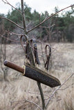 Viking Seax Knife with Engraved Stainless Steel Blade, Rosewood Handle, and Brass Guard