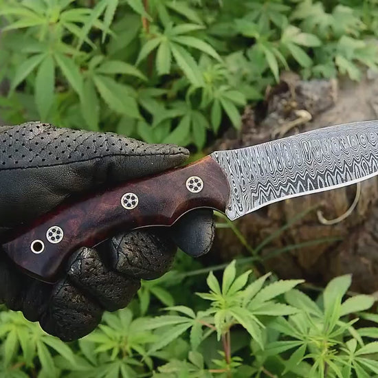 Wilderness Warrior hunting knife with KBS Knives logo engraved on the blade
