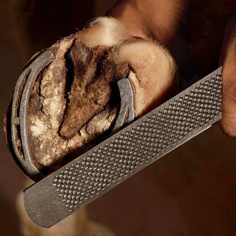 A close-up of a horse's hoof being filed with a metal rasp tool, showing the hoof and the file in detail against a dark brown background.