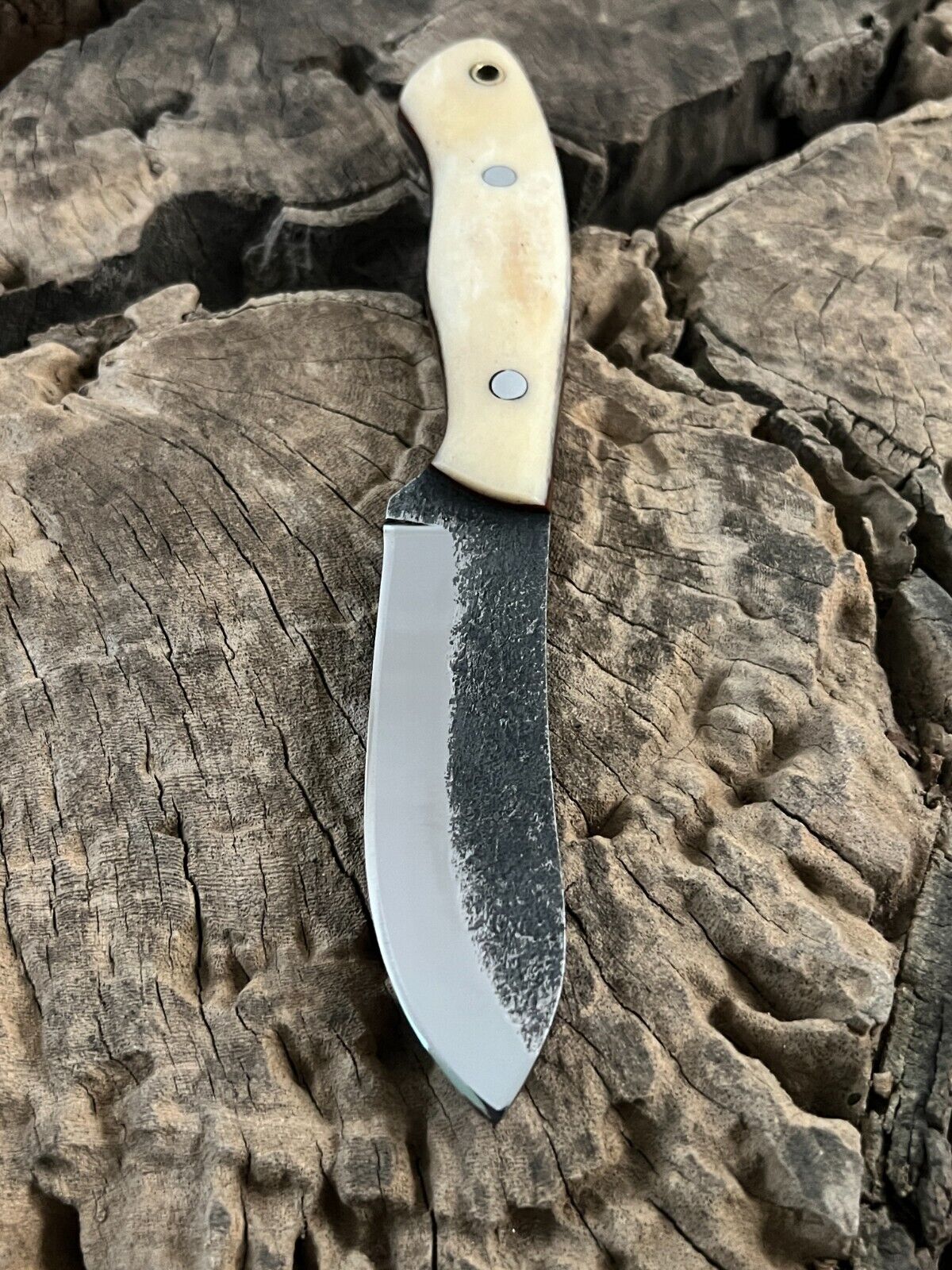 Close-up of WildEdge high-carbon steel 4-inch blade for outdoor survival