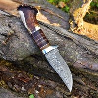 Custom Handmade Damascus Steel Hunting Knife with Rosewood, Stag Horn and Steel Guard Handle - 9 Inches by KBS Knives Store