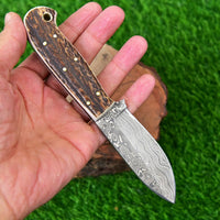 Custom Handmade Damascus Steel Skinning Knife with Stag Horn Handle and Leather Sheath - 7 Inches by KBS Knives Store