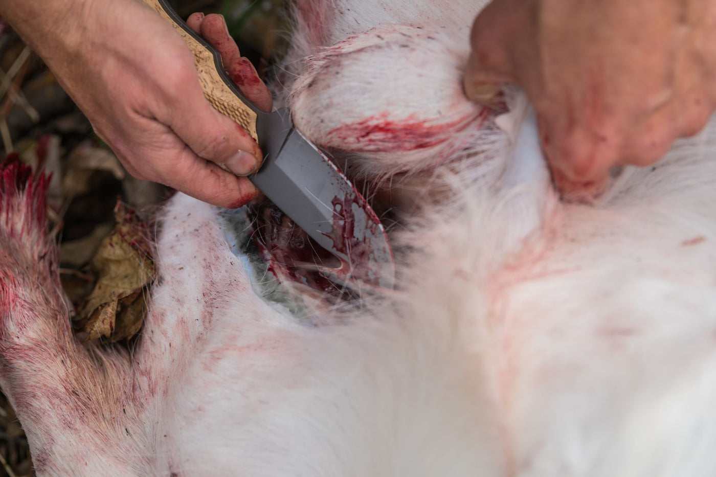Skinning knife by KBS Knives Store