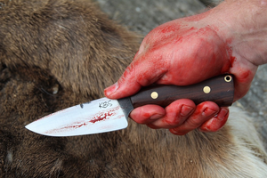 Best Skinning knife by KBS Knives Store