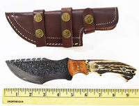 10-inch Damascus Steel Tracker Knife with Antler Horn Handle and Rose Wood Bolster for Tactical and Survival Use