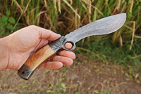Best kukri knife with 7-inch Damascus steel blade and olivewood handle.
