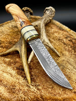 Damascus Hunting Camping Knife with Bone, Olive Wood, and Brass Bolster Handle