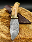 Skinning Blade Damascus steel knife with olivewood handle and brass bolsters.
