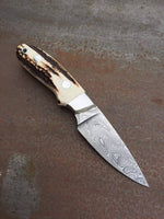 Full Tang Custom Handmade Damascus Steel Hunting Skinning Knife