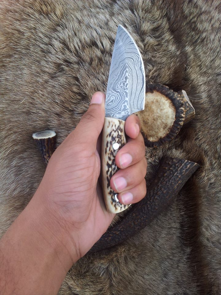 Close-up of the natural antler horn handle on a Damascus steel hunting knife.

