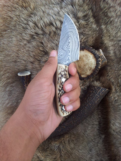 Close-up of the natural antler horn handle on a Damascus steel hunting knife.
