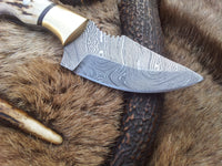 Custom 7.25-inch Damascus steel deer skinning knife with antler horn handle.
