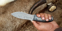 Damascus Wild Hunting Knife With Black Wood