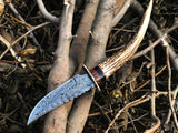New Custom Handmade Damascus Steel Hunting Skinning Knife