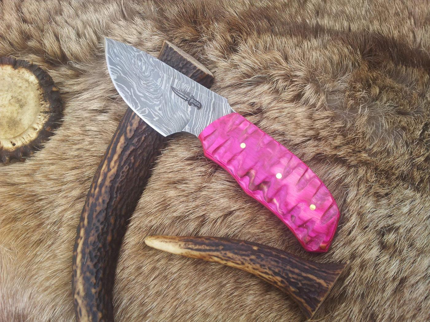 Exotic Pink Pakka wood Damascus steel drop point skinning knife featuring a 3.5-inch blade.
