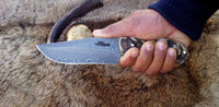 Premium hunting knife with sheep horn handle for outdoor use
