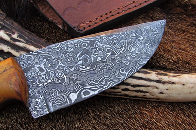 Full view of the Damascus steel drop point knife, ideal for field dressing.
