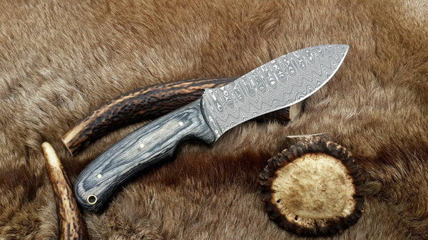 Damascus Wild Hunting Knife With Black Wood
