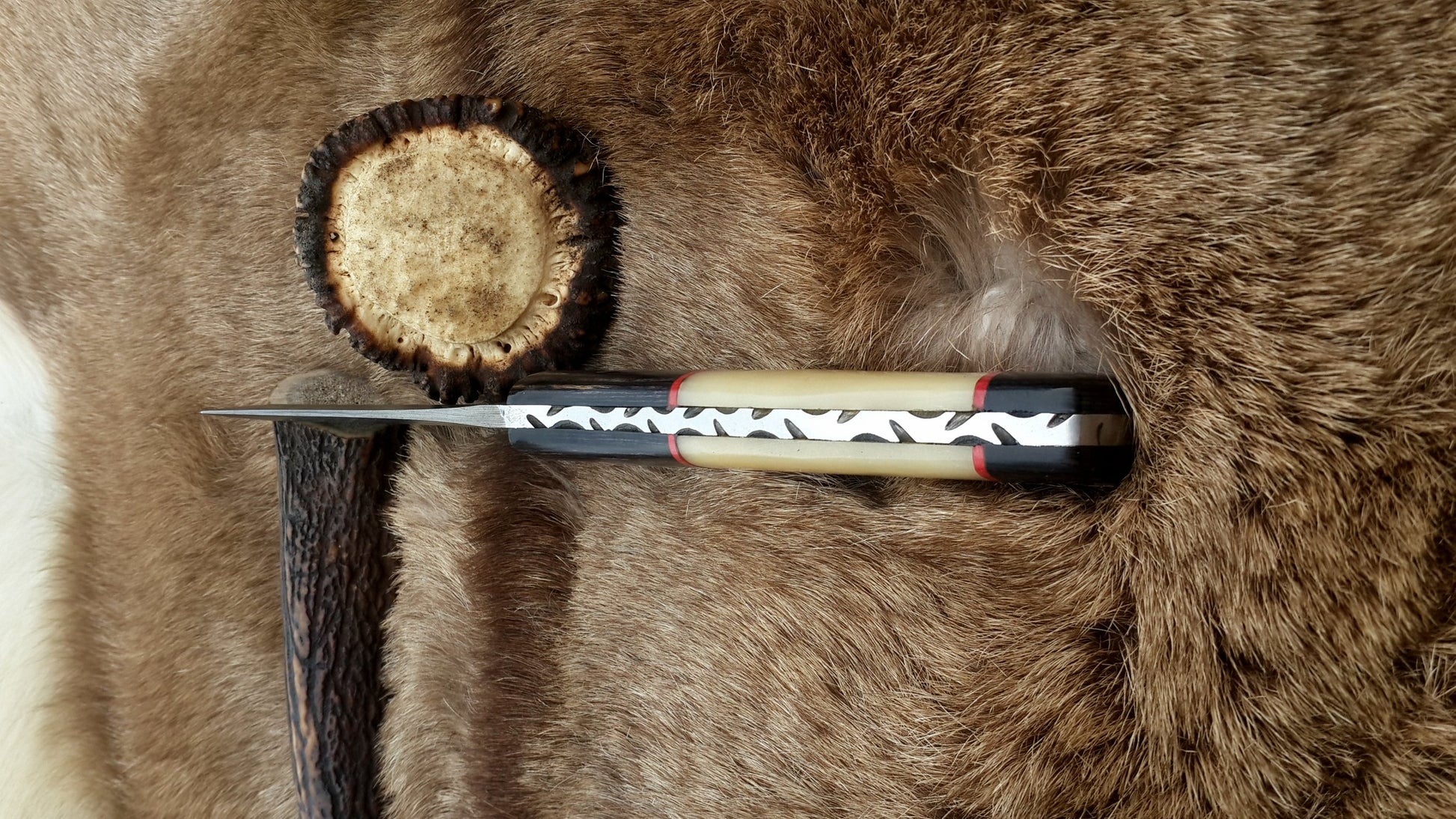 Unique fixed-blade knife with camel bone and dollar sheet handle for outdoor use
