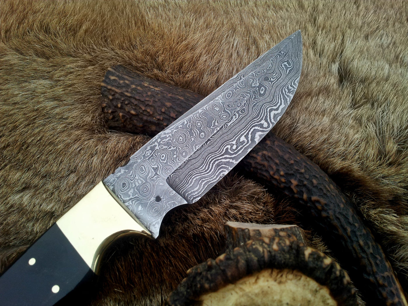 10-inch fixed-blade hunting knife featuring a buffalo horn handle and brass bolsters
