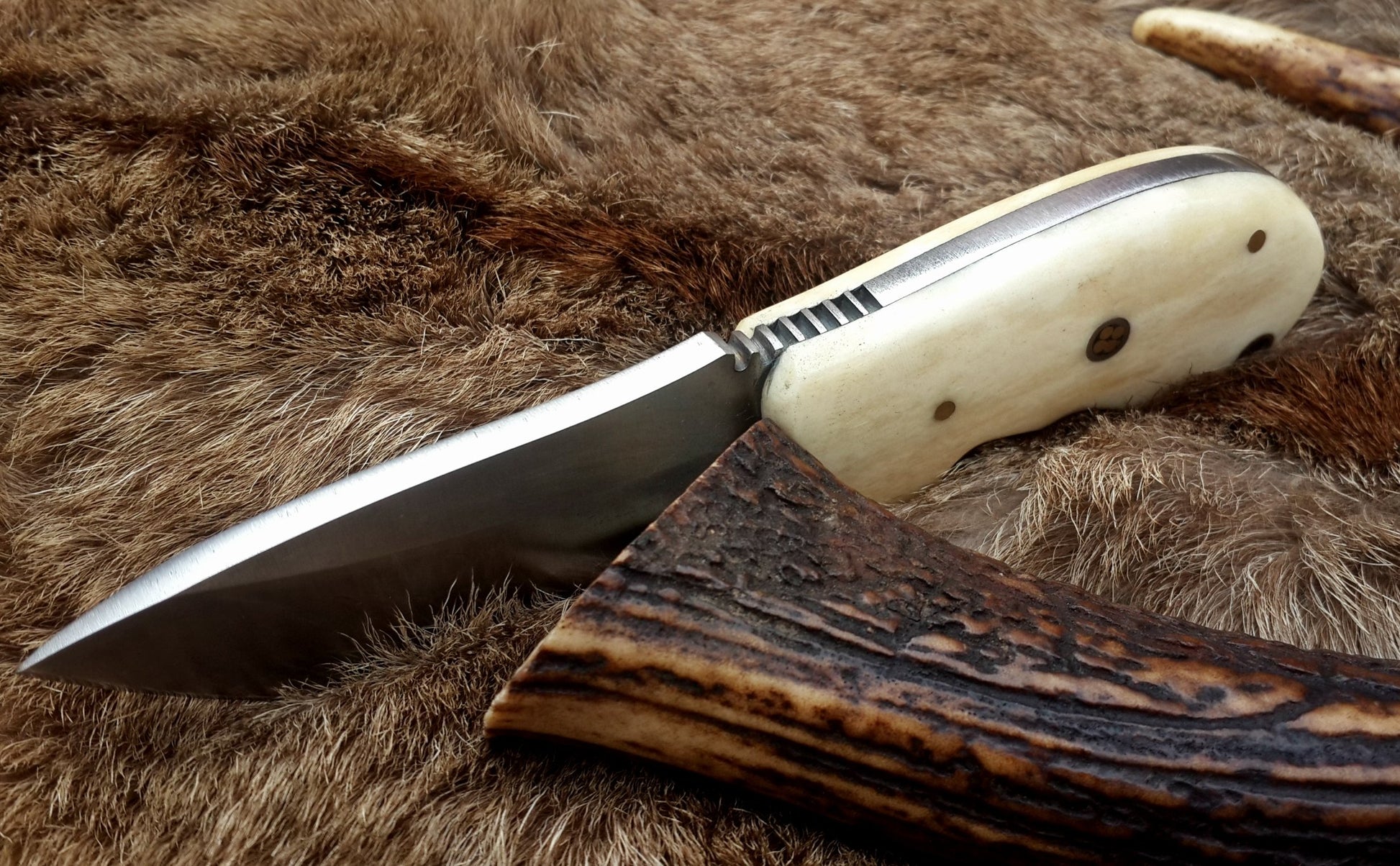 Bone handle of the field dressing knife providing a comfortable grip.
