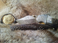 Close-up of sheep horn handle and Damascus bolster on the Ram’s Edge pocket knife
