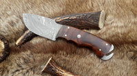Damascus Steel Skinning Knife With Rose Wood Handle