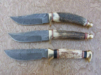 Damascus Hunting Skinning Knives With Stag Horn