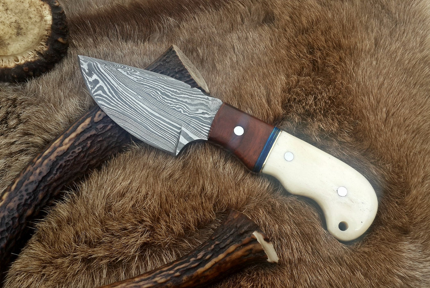 Damascus steel drop point skinning knife featuring a bone and rosewood handle with a 3-inch blade.
