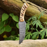 Beautiful Damascus hunting knife with sheep horn handle and leather sheath