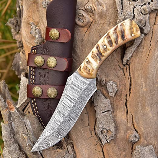 Handcrafted Damascus Hunting Knife: Sheep Horn Handle, 8.5-inch Overal –  KBS Knives Store