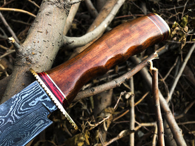 Custom Bowie Knife with Walnut Wood Handle and Brass Guard for Hunters